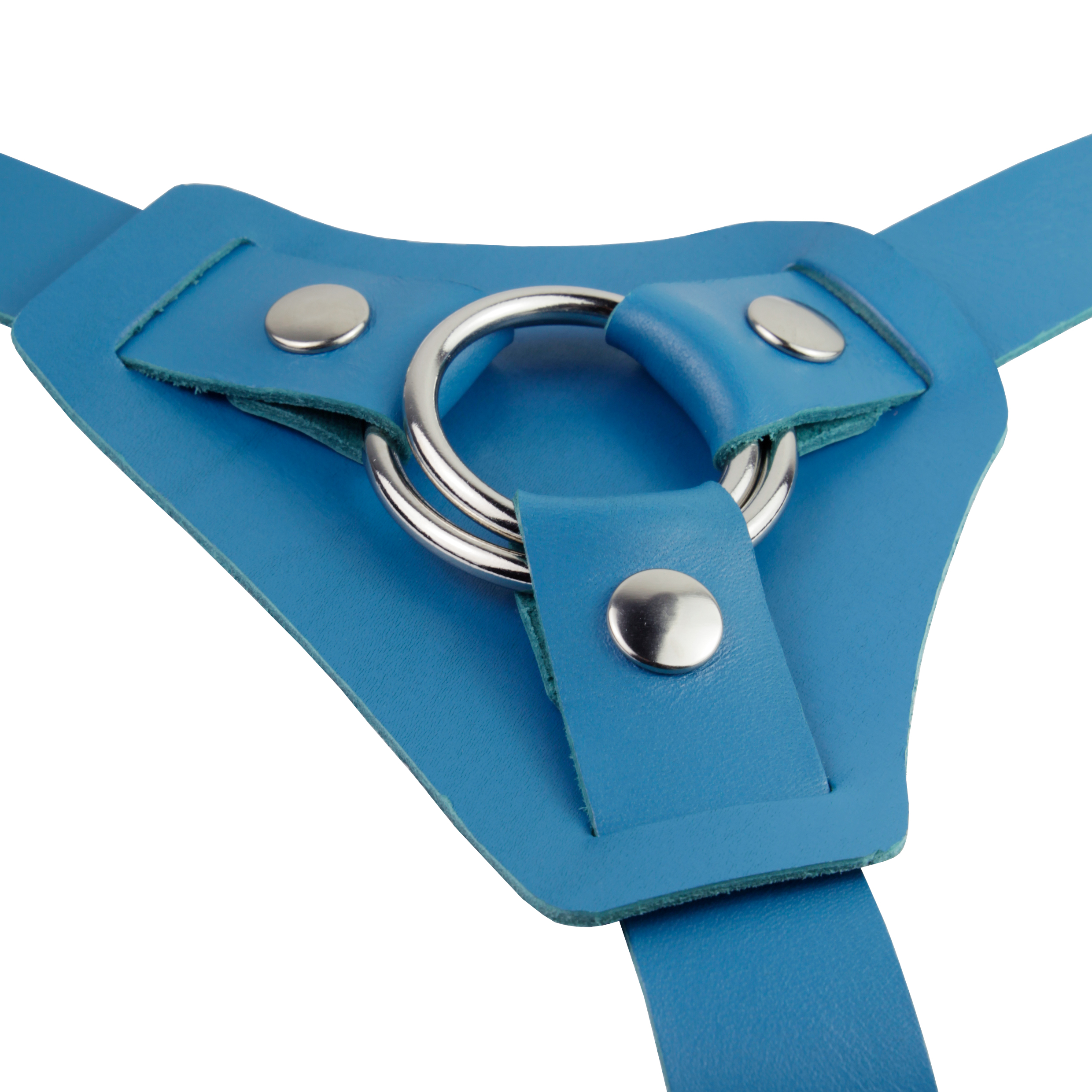 Strap-on Harness Blue photo