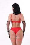 Bra and panty set,Mesh panty with removable garters ,Lingerie see through,See thru underwear Thumbnail # 146986