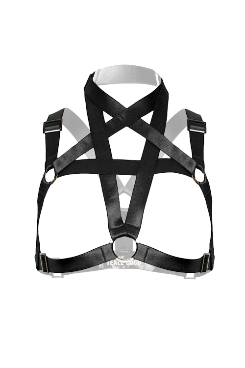 Adjustable Pentagram Bust Harness photo