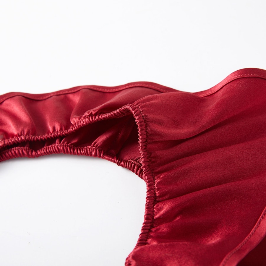 Ruby Pure Mulberry Silk T-String Pantie | Mid to High Waist Thong | 22 Momme | Float Collection Image # 149092
