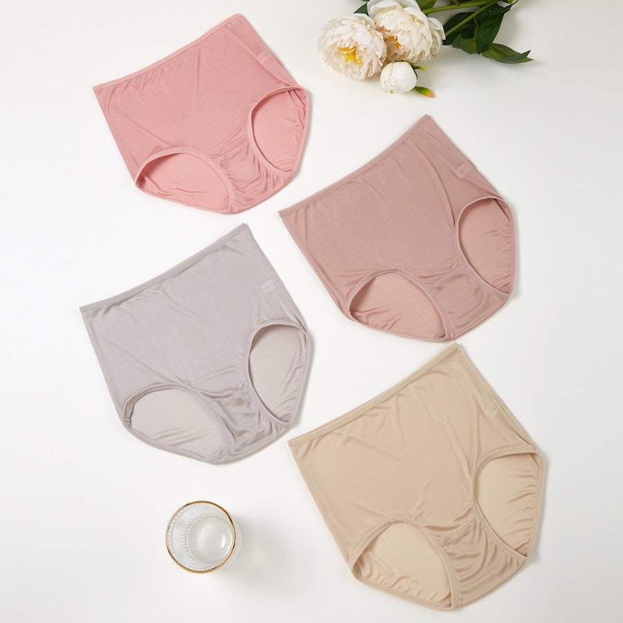 Set of 4 Knitted Silk High Rise French Cut Pantie | Shimmer Collection Image # 149674