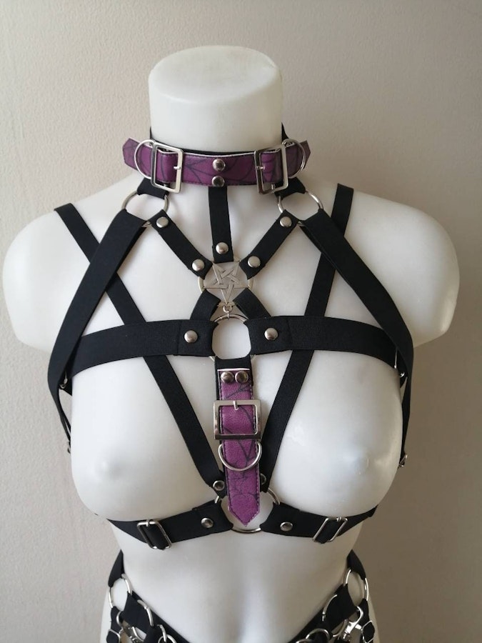 Elastic harness with purple straps Image # 175249