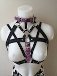 Elastic harness with purple straps Thumbnail # 175249