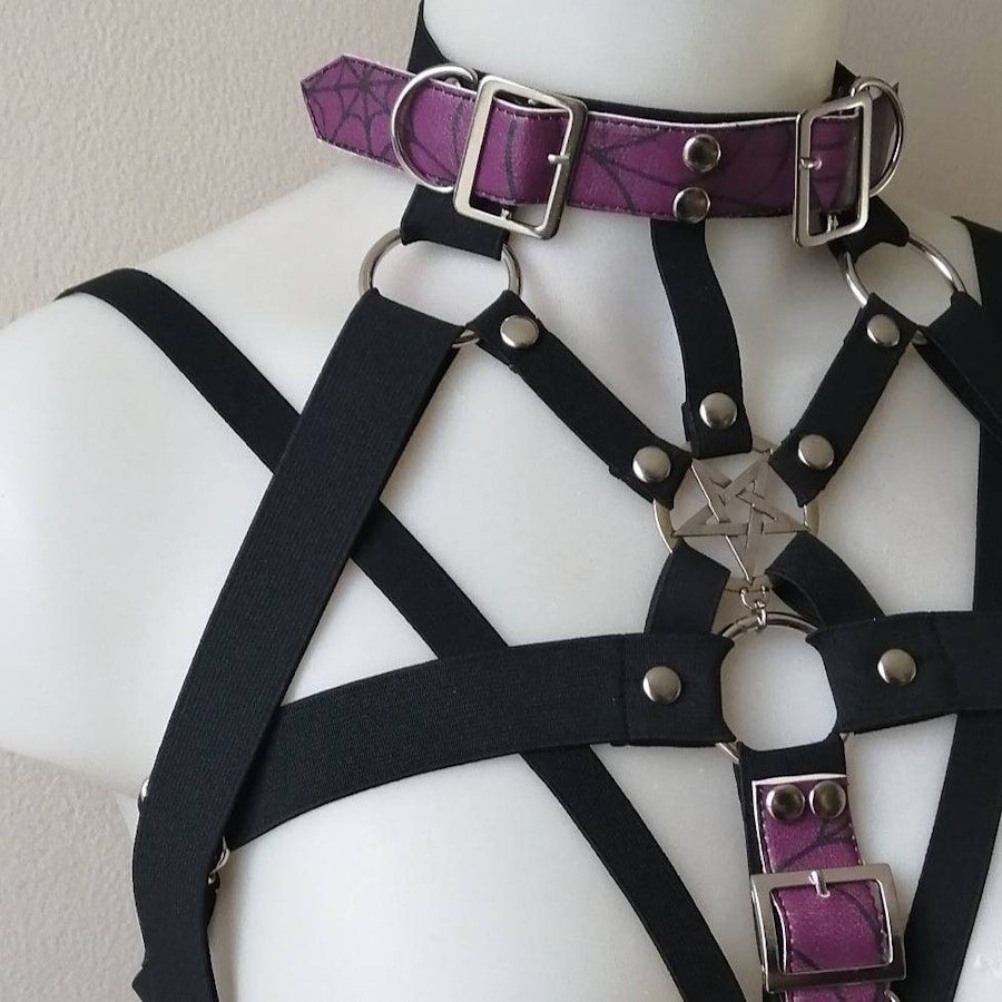 Elastic harness with purple straps Image # 175247