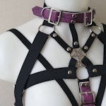 Elastic harness with purple straps Thumbnail # 175247