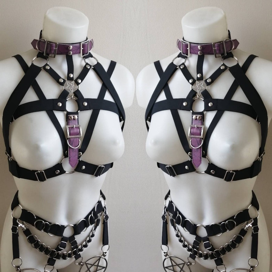 Elastic harness with purple straps