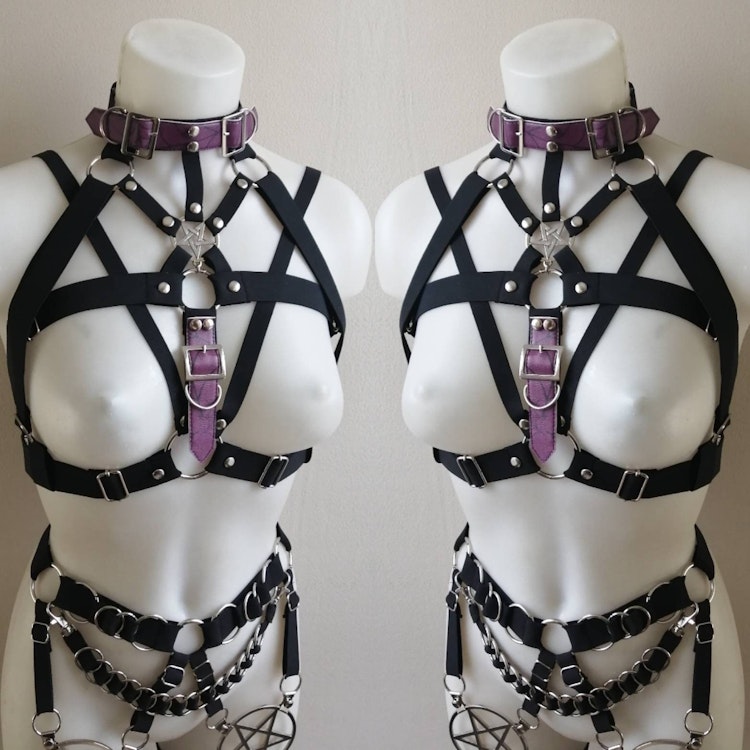 Elastic harness with purple straps photo