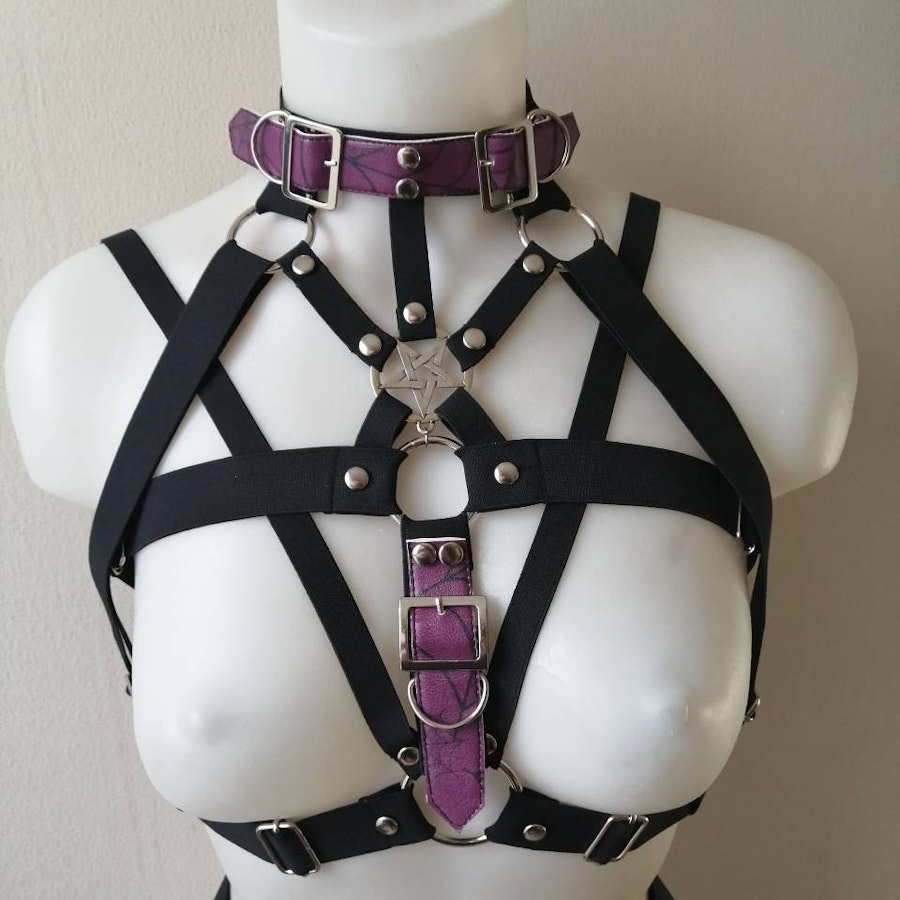 Elastic harness with purple straps Image # 175245