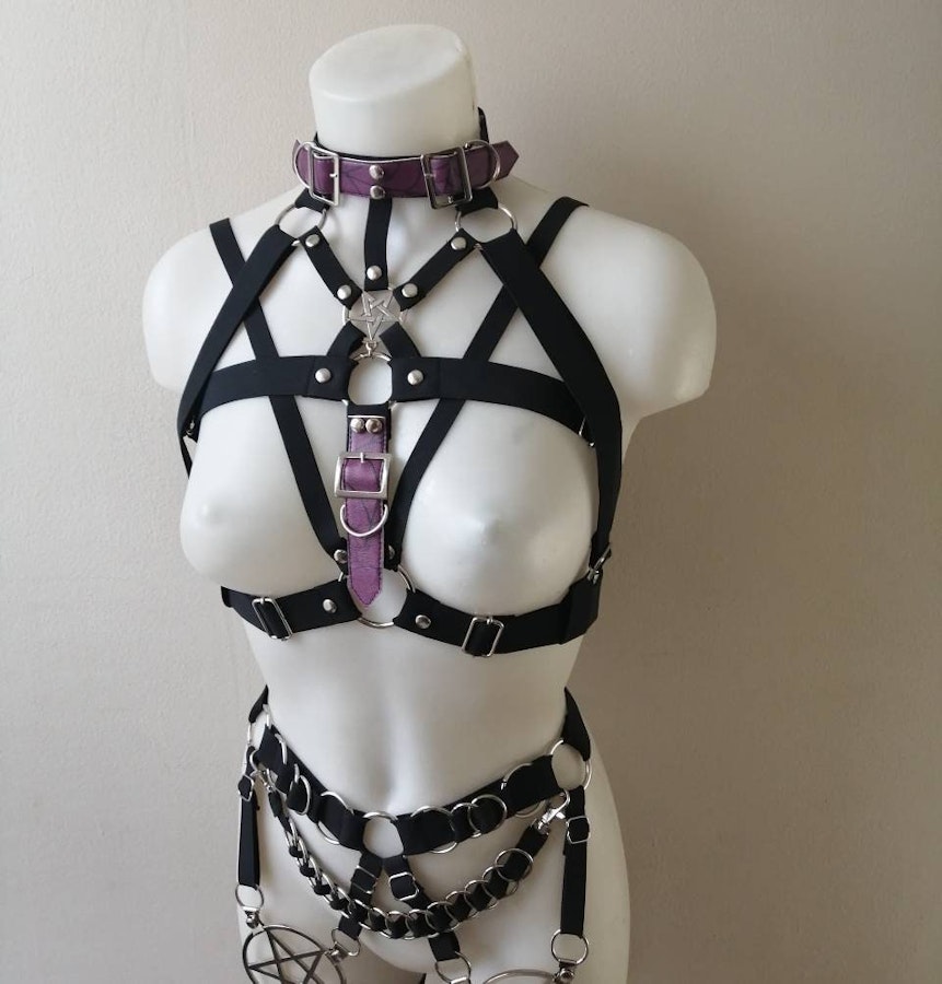 Elastic harness with purple straps Image # 175246