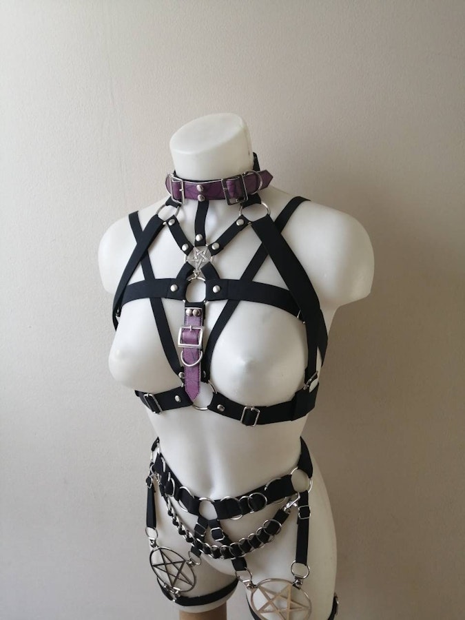 Elastic harness with purple straps Image # 175248