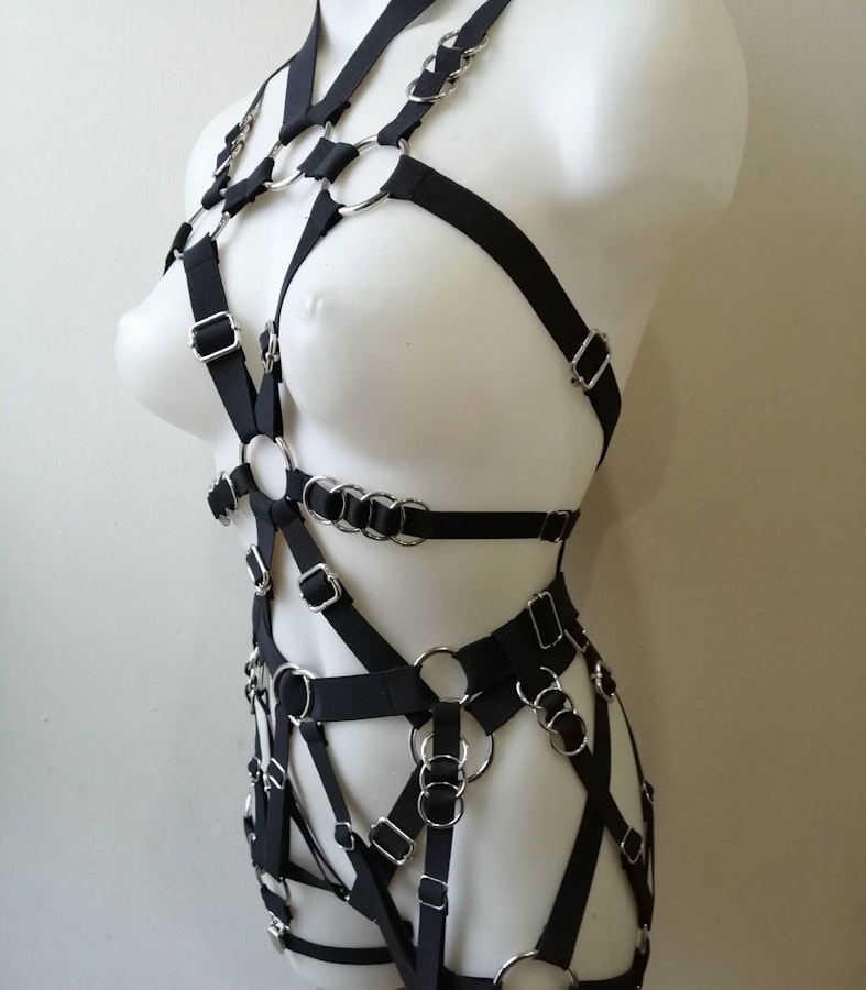 Full body elastic harness Image # 175330