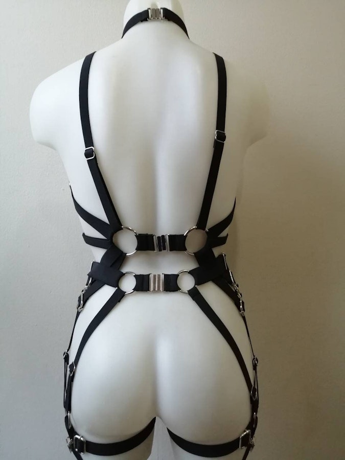 Full body elastic harness Image # 175331