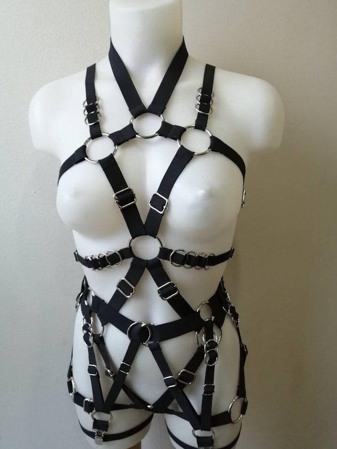 Full body elastic harness Image # 175329