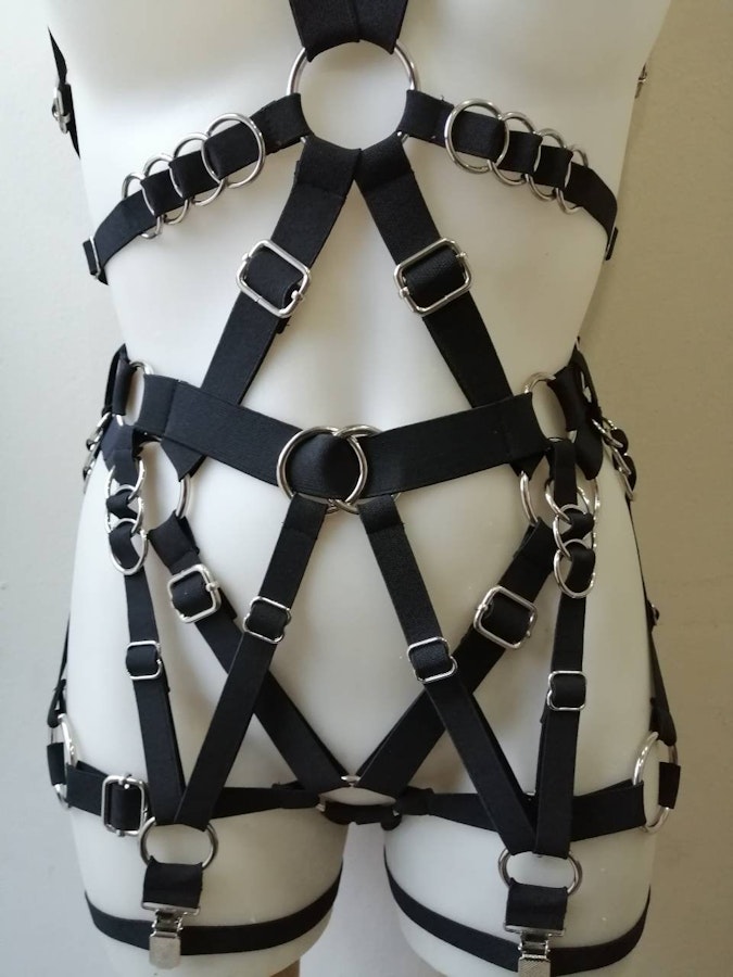 Full body elastic harness Image # 175332