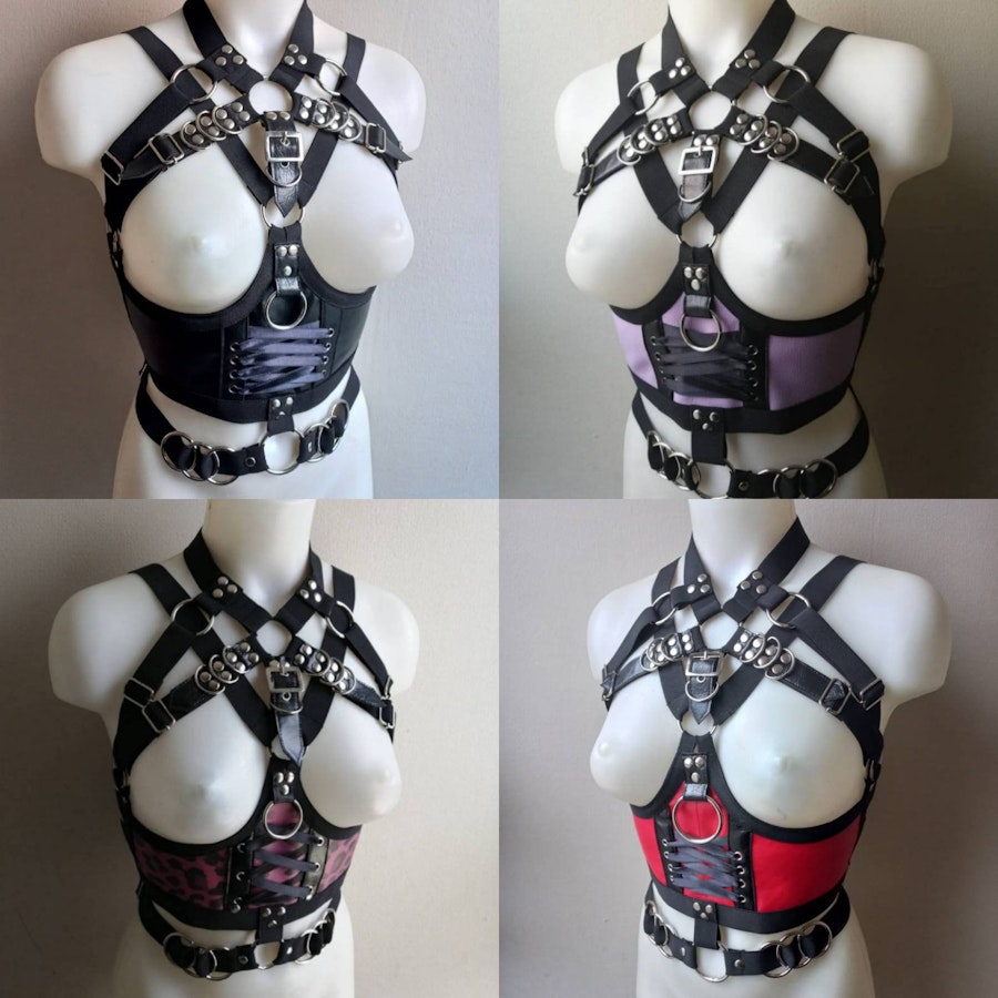 Lace up front harness Image # 175318