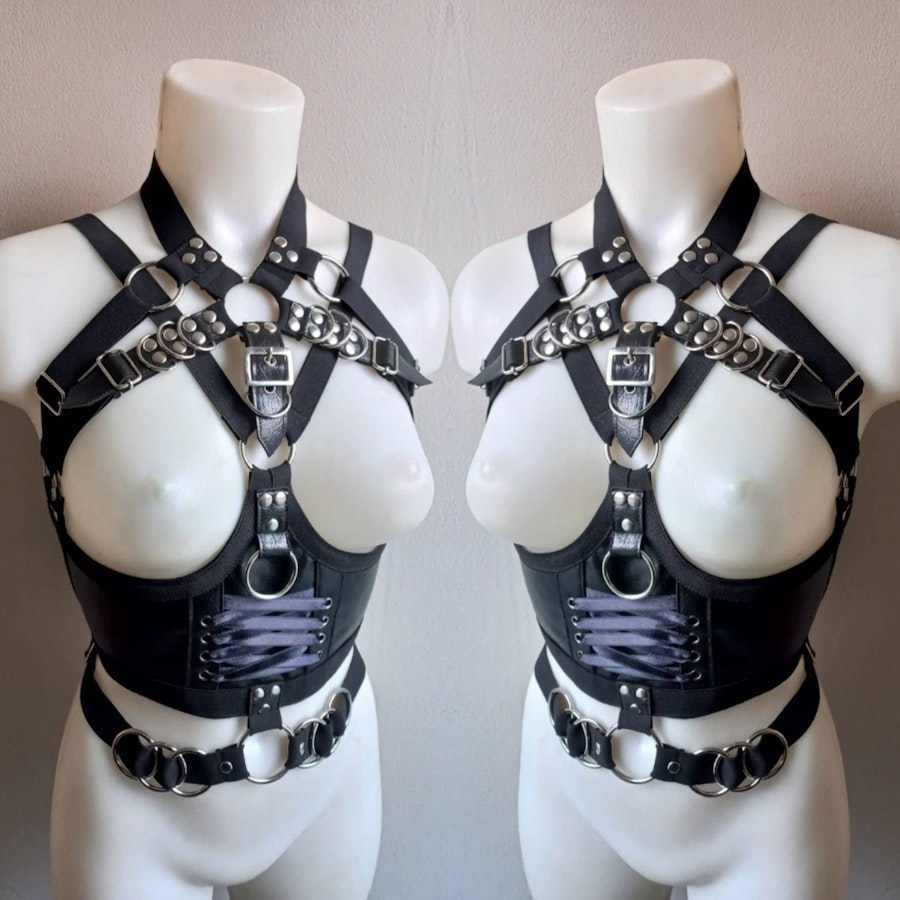 Lace up front harness Image # 175319