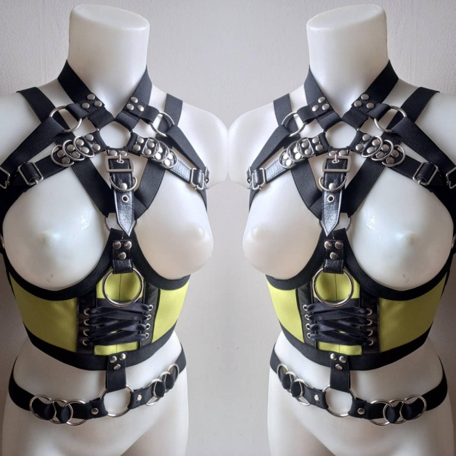 Lace up front harness Image # 175320