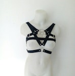 Simple pentagram harness Thumbnail # 175731