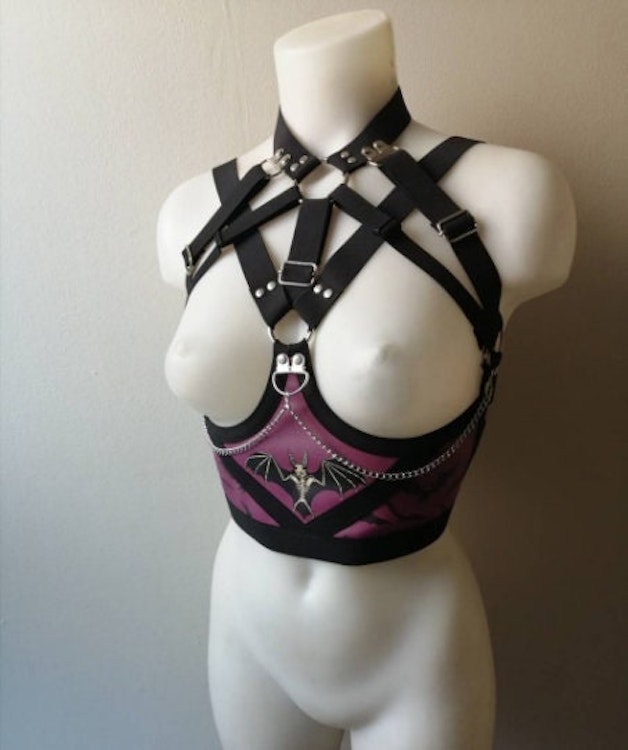 Purple printed harness photo