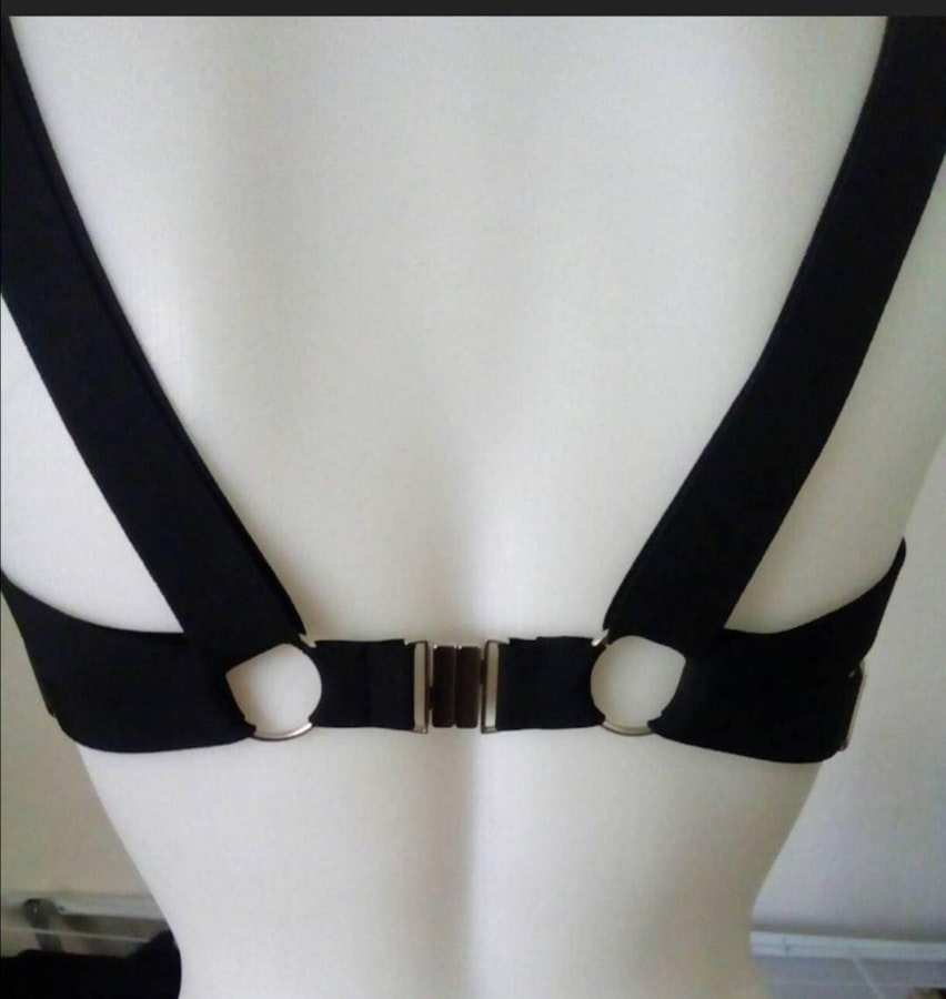 Harness with red belts Image # 176392