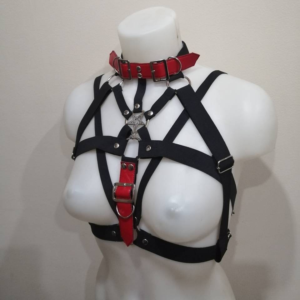 Harness with red belts photo