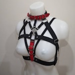 Harness with red belts Thumbnail # 176390