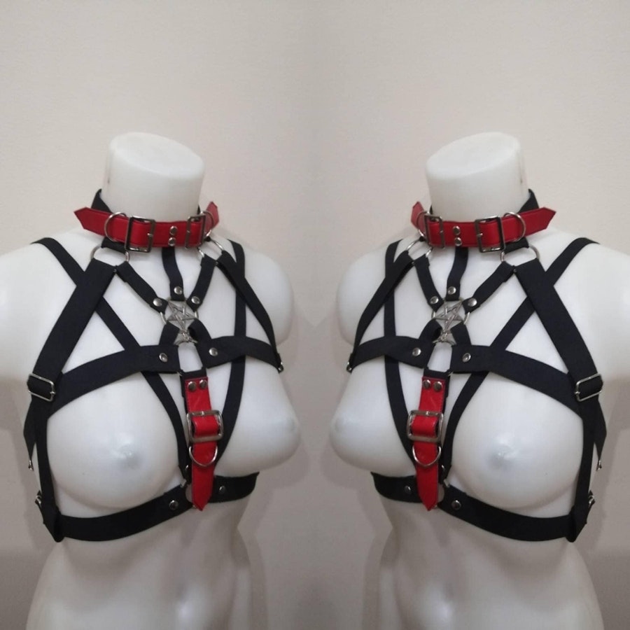 Harness with red belts