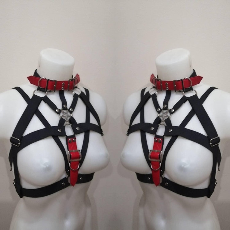 Harness with red belts photo