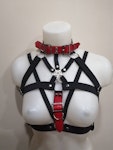Harness with red belts Thumbnail # 176391