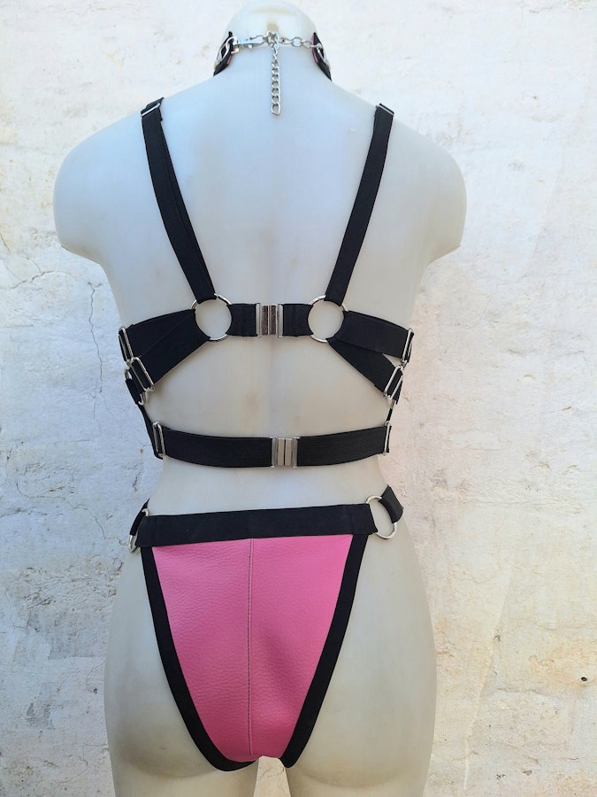 Rona harness set Image # 175862