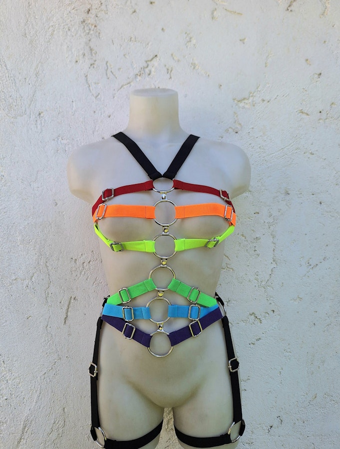 rainbow colors harness