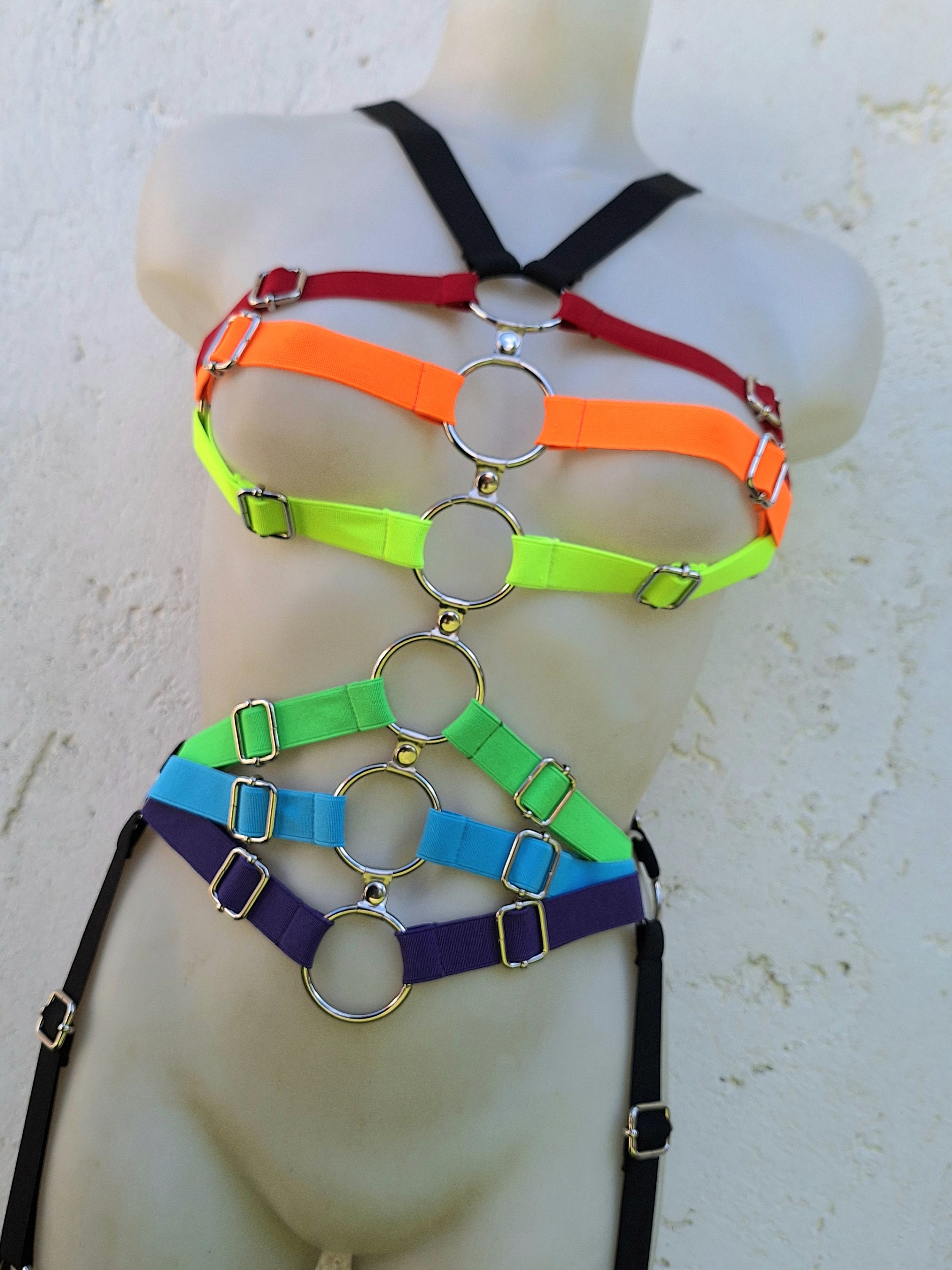 rainbow colors harness photo