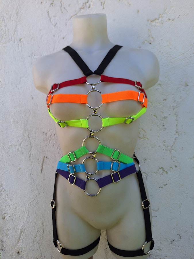 rainbow colors harness Image # 176452
