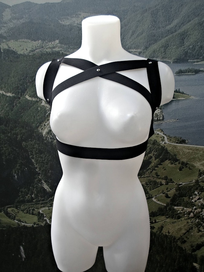 Silvia elastic harness