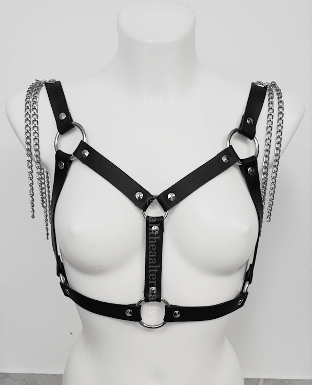Caged Bra Party Leather Harness - Gothic Black Metal Harness photo