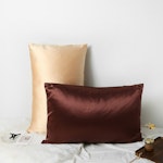 Champagne Luxury Pure Mulberry Silk Pillowcase | Queen & King | 32 Momme | Drape Collection Thumbnail # 181523