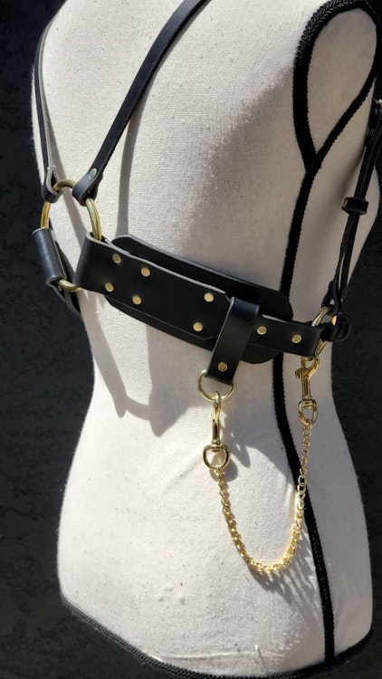 Adjustable High Waist Harness with Chain photo