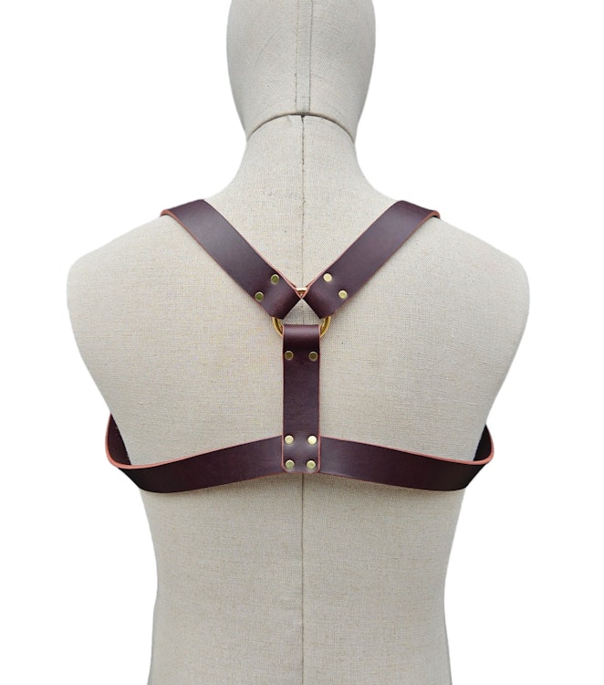 Shoulder Harness (Thick Straps) photo