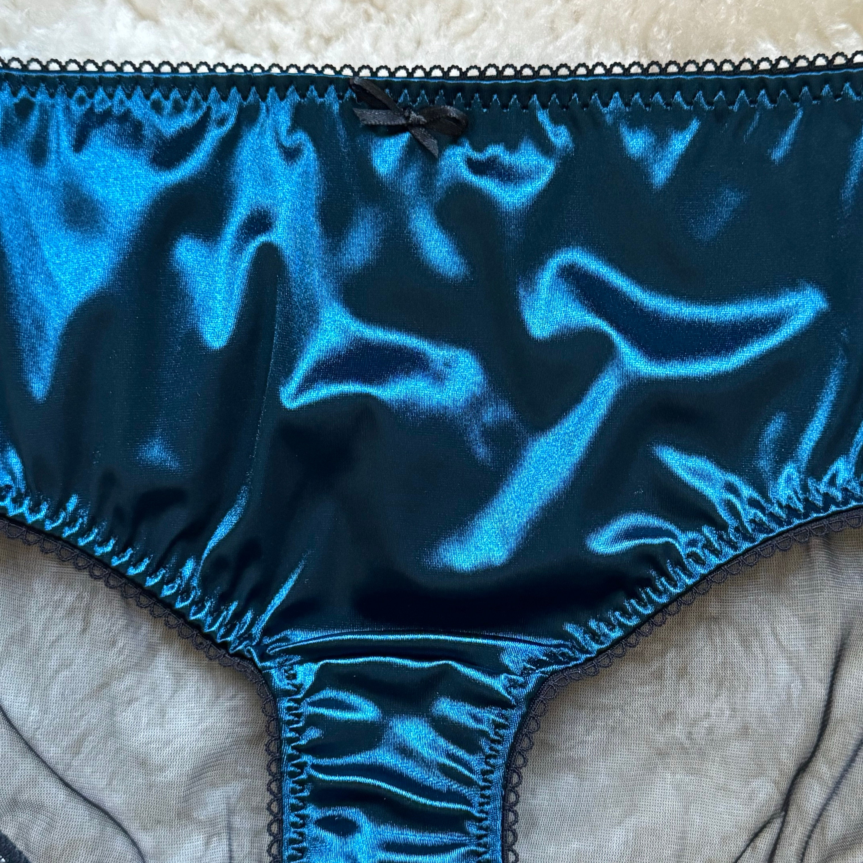 The Appolonia Panty ~ Glossy Satin With Sheer Nylon Rear ~ Low Rise Hipster Brief ~ Men Women Unisex Underwear photo