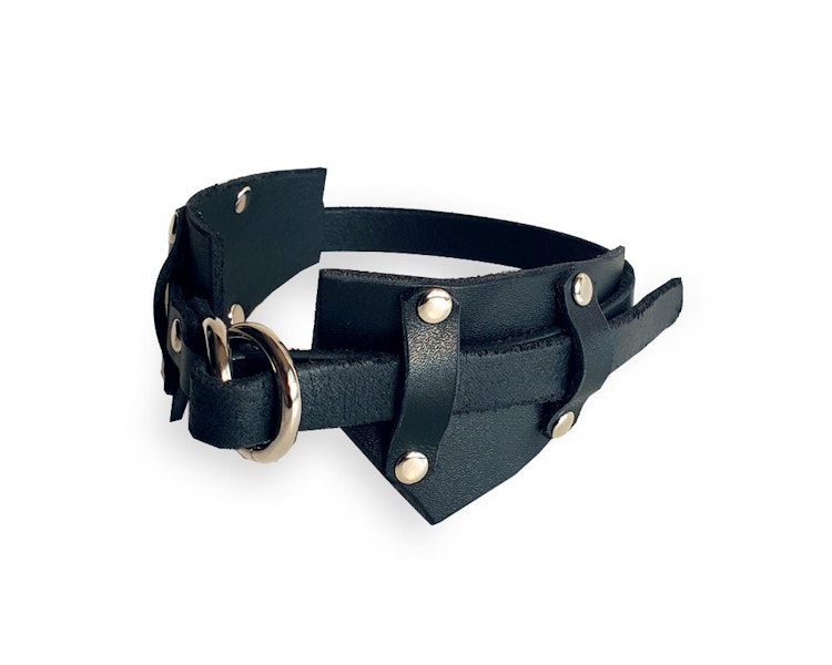 The O-Ring Collar Leather Choker photo