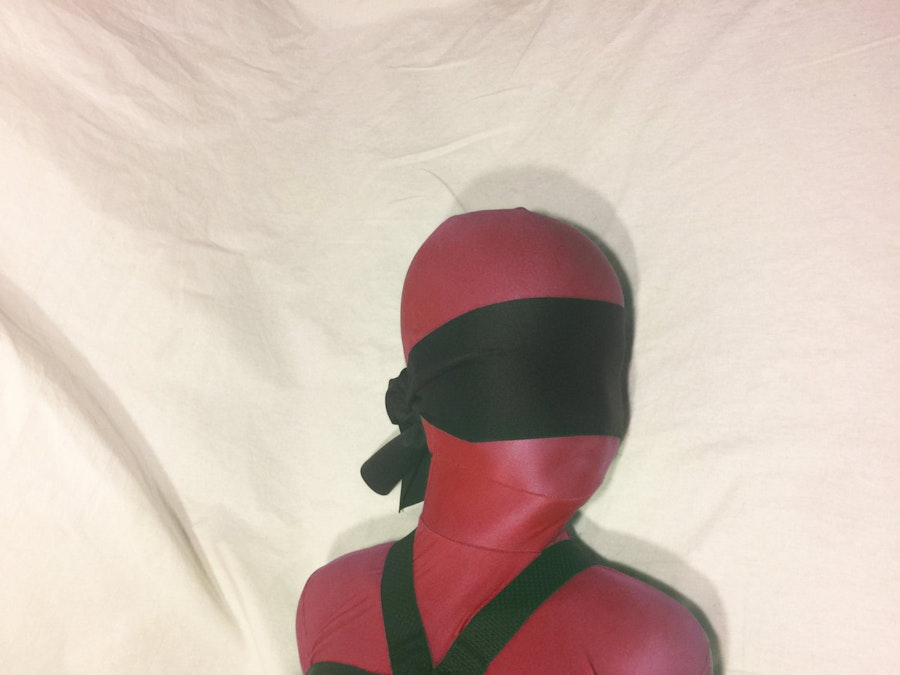 Darlex Blindfold (Sash Style) Mature Image # 211960