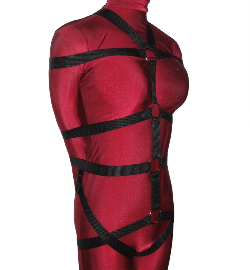 Men's Five-Point Nylon Webbing Bondage Harness (Crotch Opening) Image # 211799