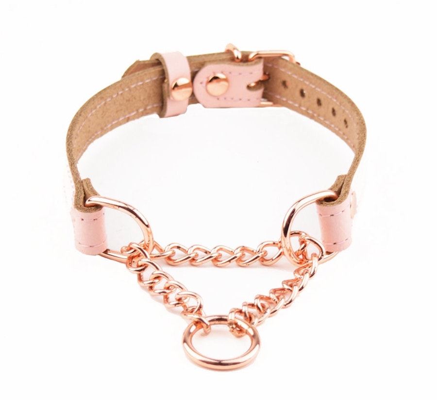 Blush Pink Leather Martingale Day Collar