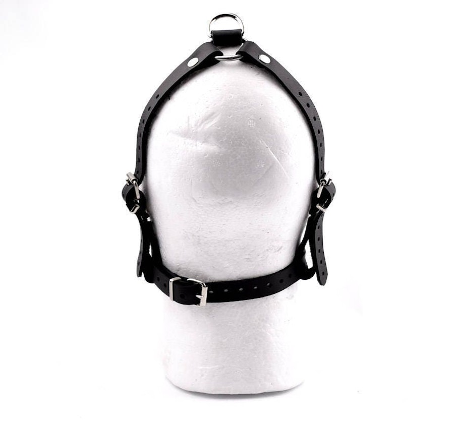 Premium Handcrafted Black Head Harness Ball Gag Red Ball Silver Hardware Image # 217084