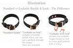 Premium BDSM Black Leather Bow & Kitten Bell Collar & Leash Thumbnail # 217401