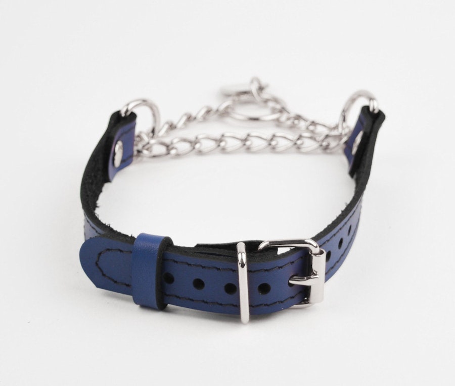 Deep Blue Custom Engraved Martingale Day Collar Luxury Leather with Round Silver Pendant Image # 216976