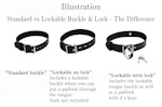 Black Leather Custom Engraved Martingale Day Collar with Silver Love Heart Pendant Thumbnail # 217123