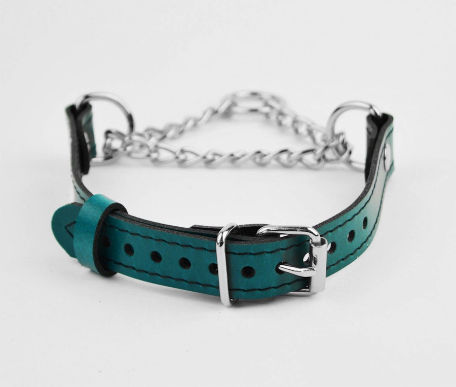 Emerald Green Custom Engraved Martingale Day Collar Luxury Leather with Silver Love Heart Pendant Image # 217923