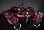 Vampire Set / Choker & Cuffs Thumbnail # 224537