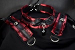 Vampire Set / Choker & Cuffs Thumbnail # 224538